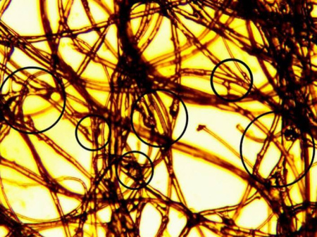 Фильтр потолочный REINBERG RB-600-22-М5 1.5x20м